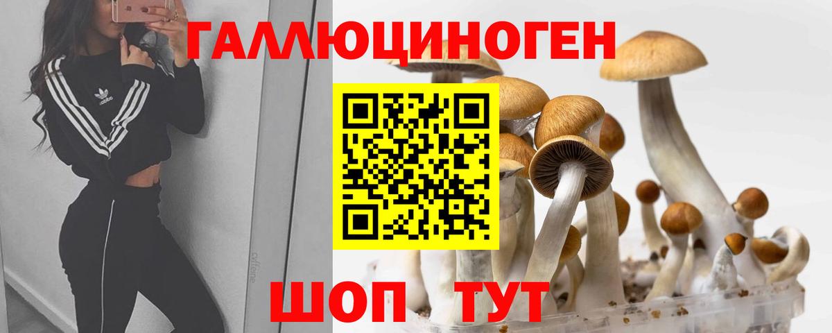 Тельмана  Псилоцибиновые грибы Cubensis  Вход с VPN 